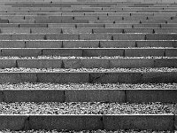 DSC 7008's
