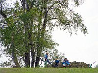 DSC 5752's