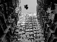 Black White