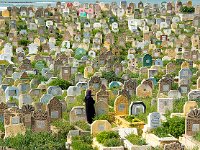 Cemetery 墓地