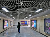 Xian 西安151