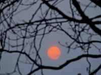 Sunset  雾霾中的红日