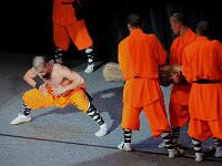 ShaoLin GongFu 少林硬功0
