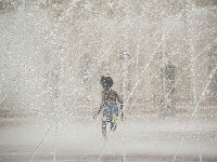 Summer 夏日