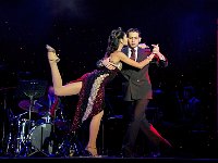 Tango 探戈