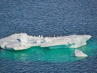 Antarctica 南极1