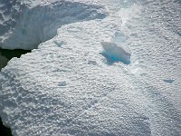 Antarctica 南极104