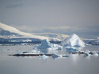 Antarctica 南极106