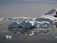 Antarctica 南极113