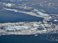 Antarctica 南极114