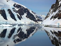 Antarctica 南极117