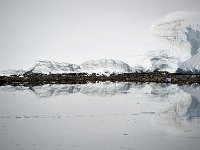 Antarctica 南极124