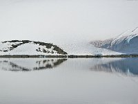 Antarctica 南极129