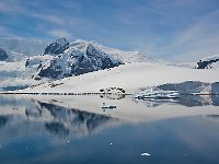 Antarctica 南极138