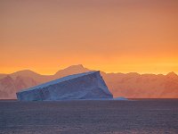 Antarctica 南极16