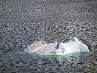 Antarctica 南极2