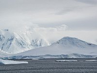 Antarctica 南极33