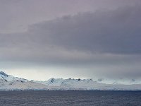 Antarctica 南极51