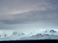 Antarctica 南极53