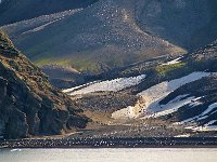 Antarctica 南极57
