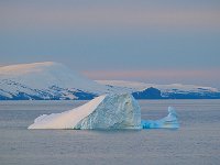 Antarctica 南极68