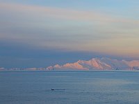 Antarctica 南极70