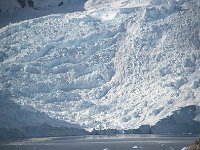 Antarctica 南极86
