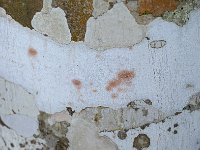 Bark 树皮20