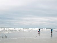DSC 1716s
