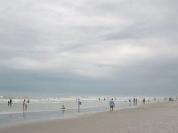 DSC 2176s