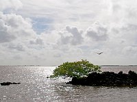 DSC 2371s