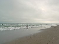 DSC 8631s