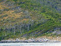 Beagle Channel 比格尔海峡14