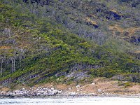 Beagle Channel 比格尔海峡15