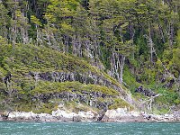 Beagle Channel 比格尔海峡19