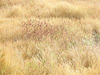 Fall 秋色12