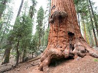 Sequoia National Park 红杉树国家公园28
