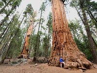 Sequoia National Park 红杉树国家公园35