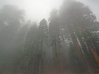 Sequoia National Park 红杉树国家公园48