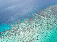 Great Barrier Reef 大堡礁