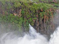 WaterFall 大瀑布35