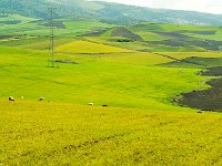 DSC 8270''P