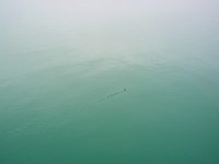 Sea 海洋1