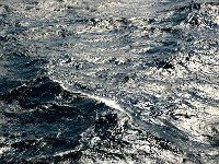 Sea 海洋14
