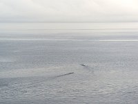 Sea 海洋2