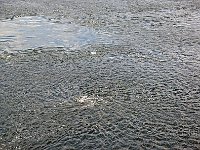 Sea 海洋20