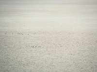 Sea 海洋21