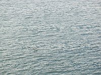 Sea 海洋22