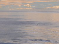 Sea 海洋24