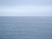 Ocean 海洋